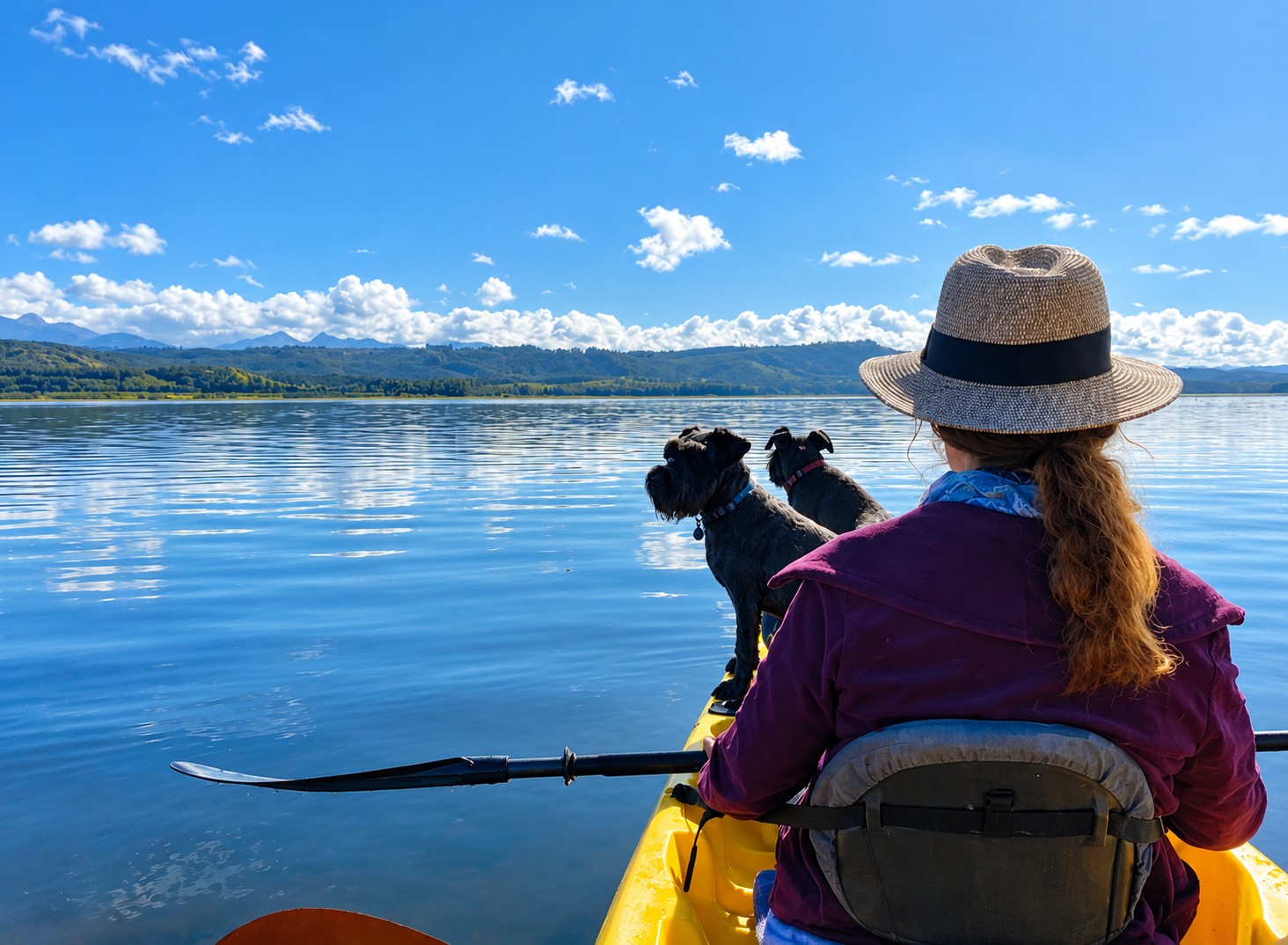 Rose paddling a yellow kayak with her two dogs on Swartvlei Lake