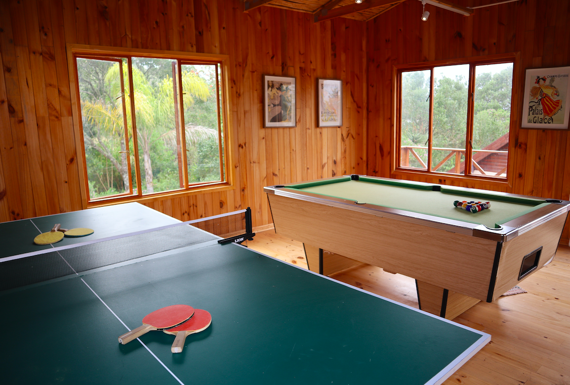 Pool & table tennis