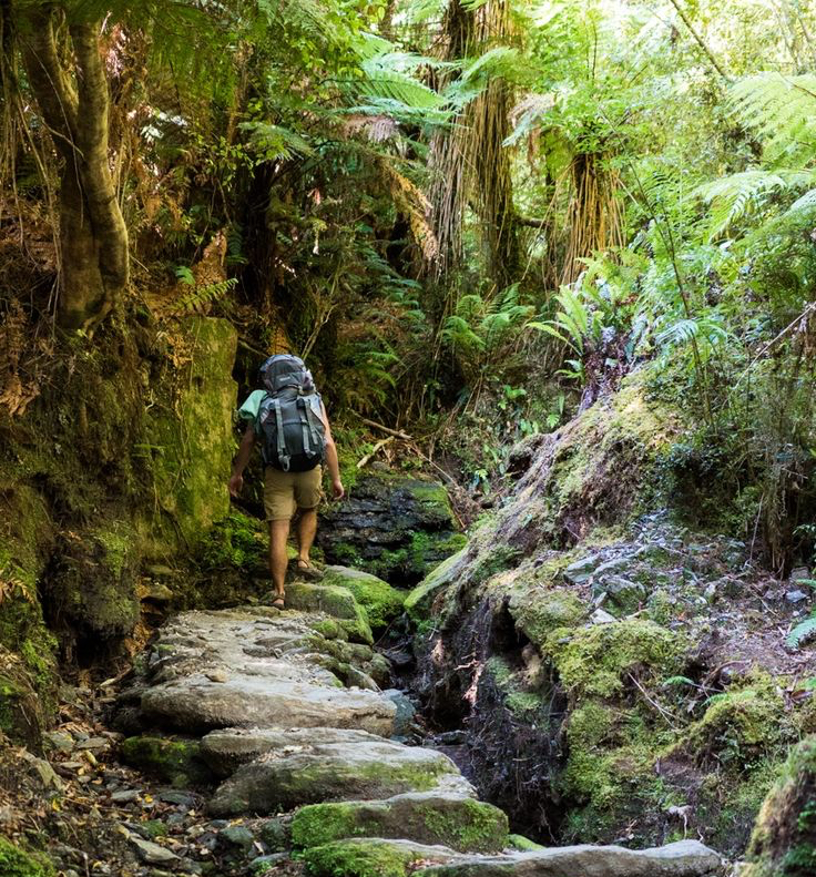 Hiking Trails